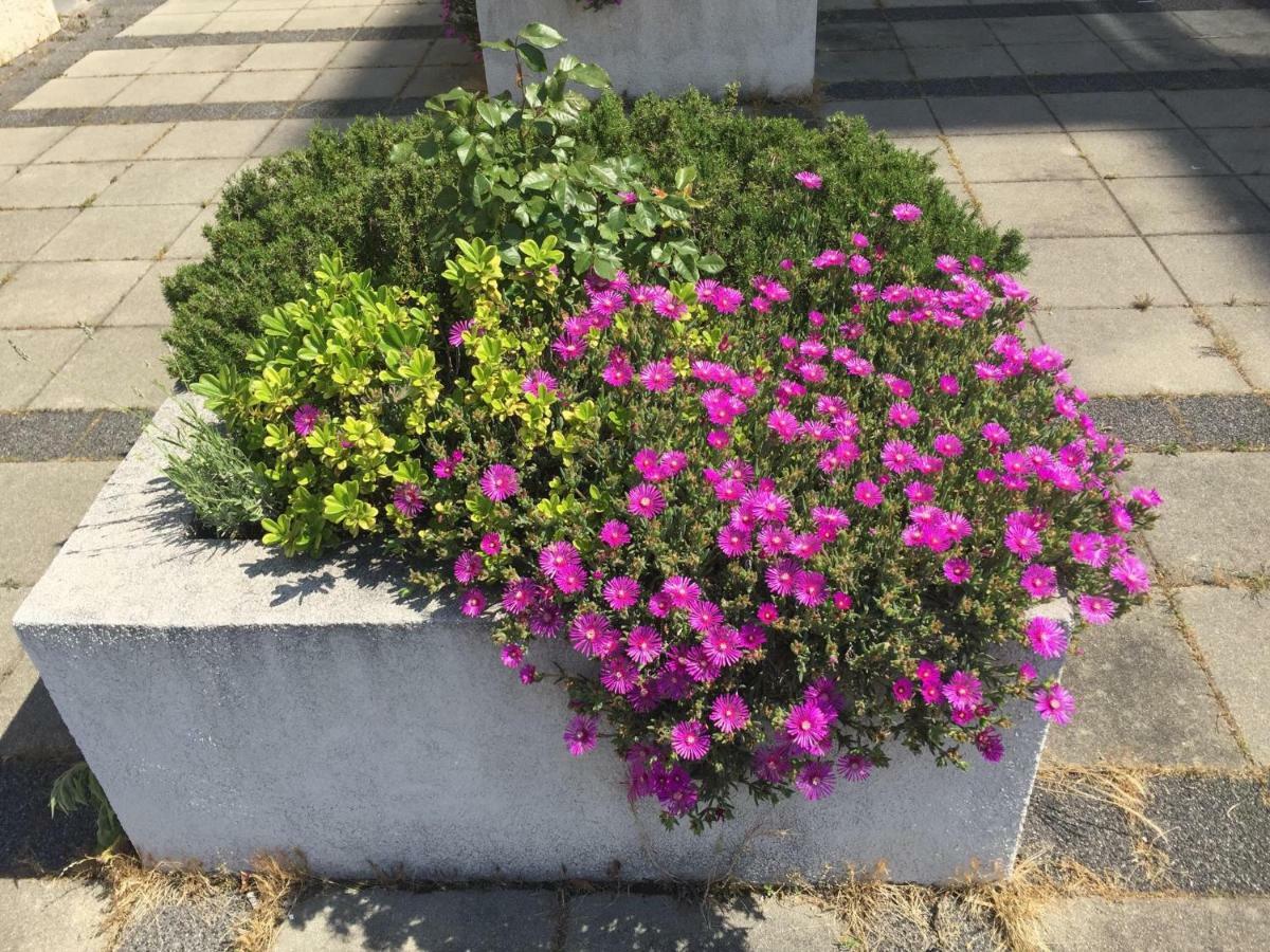 Apartment West Ριέκα Εξωτερικό φωτογραφία